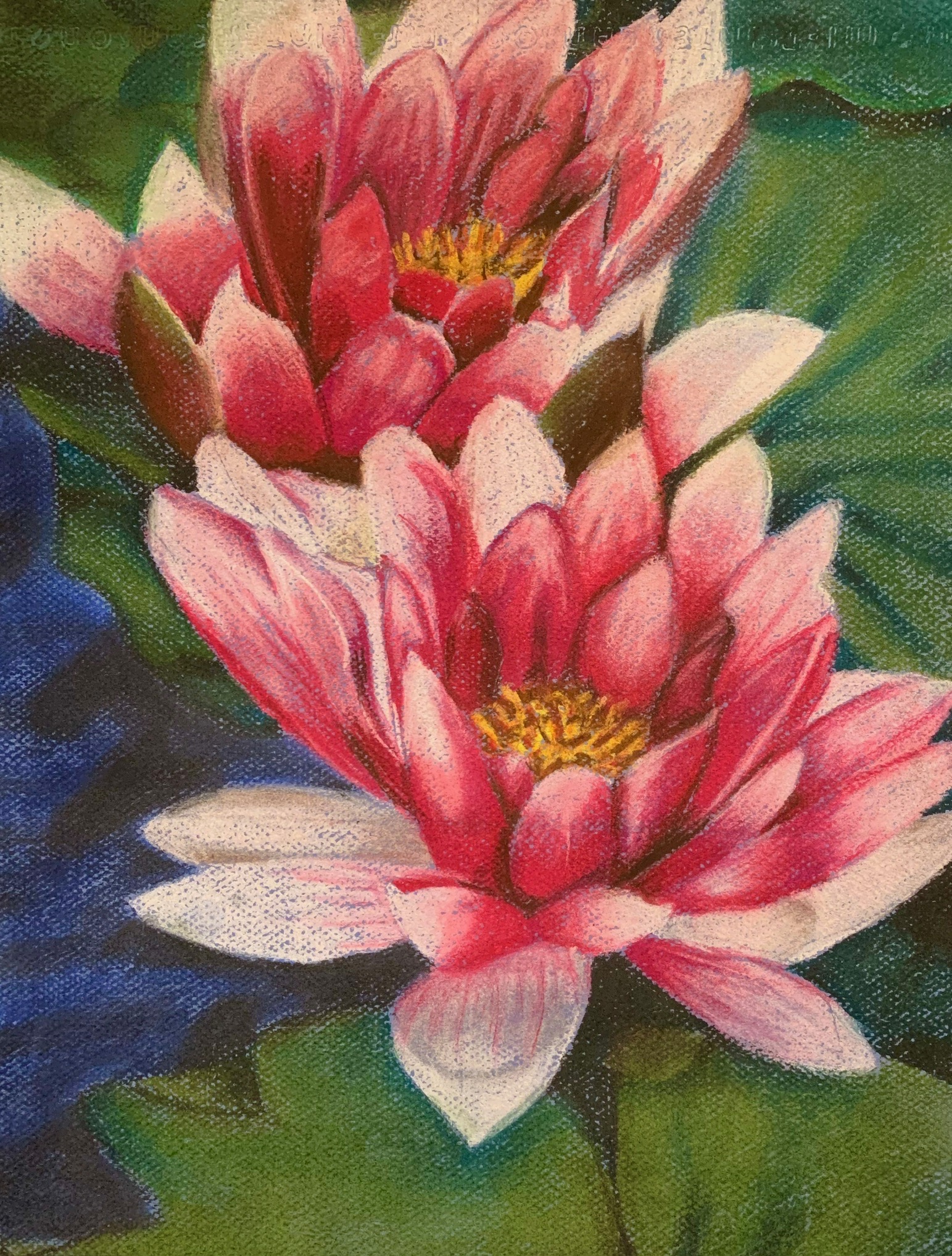 Water Lilies artwork