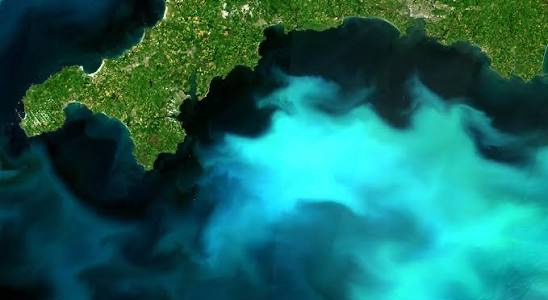 Satellite view of a coccolithophore bloom in coastal waters