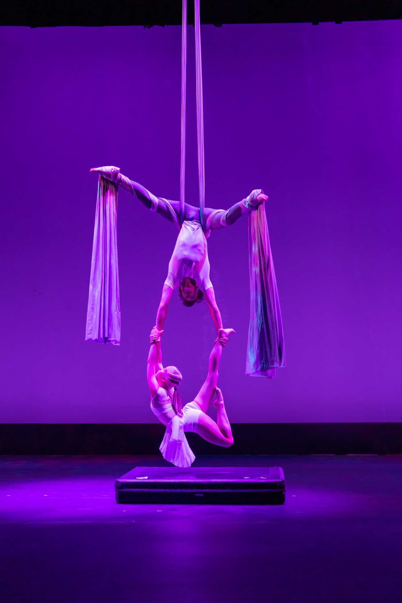 A Light To My Path aerial duet balance with purple lighting