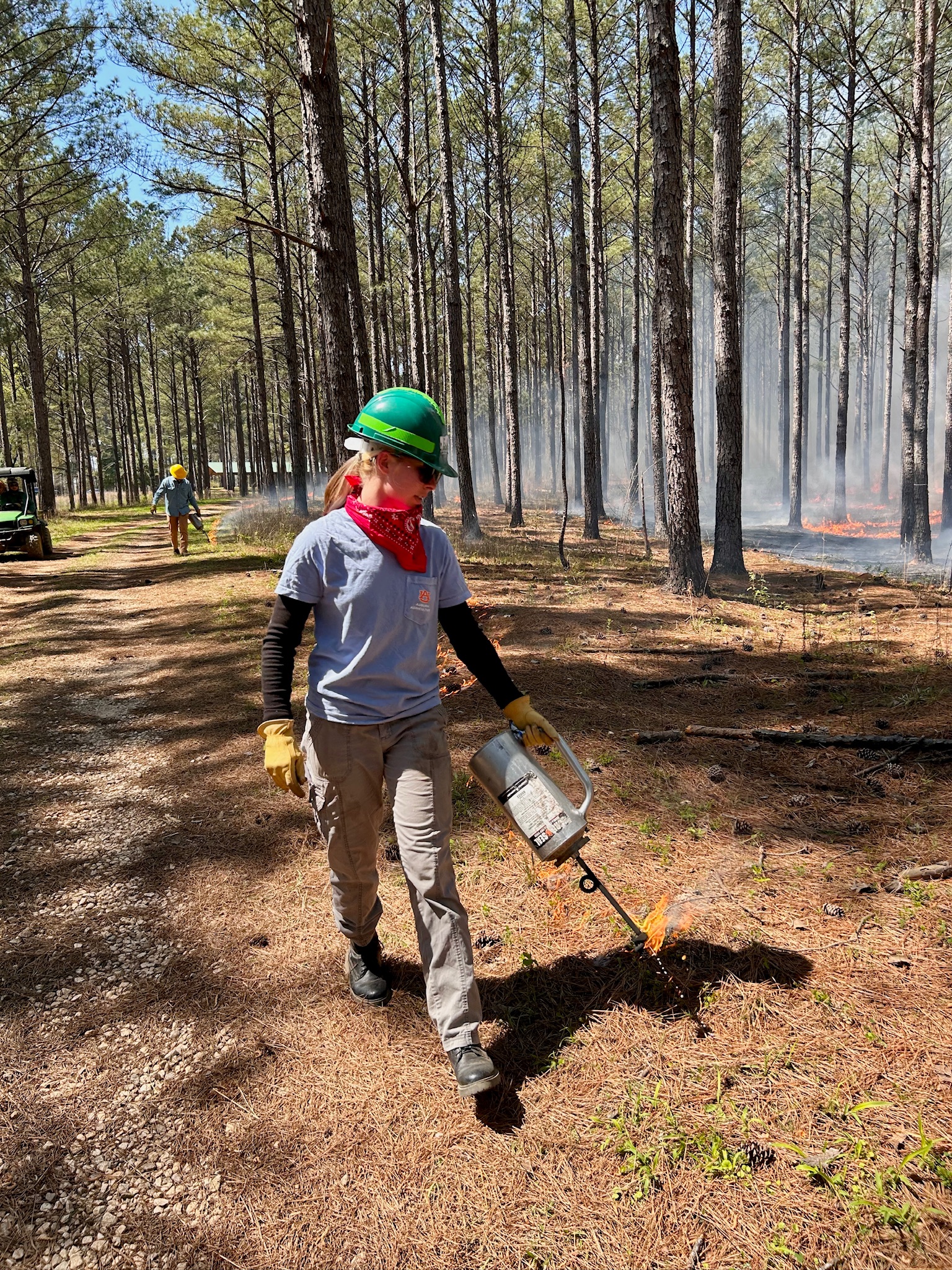 Liz Koifman working with prescribed fire in a pine forest