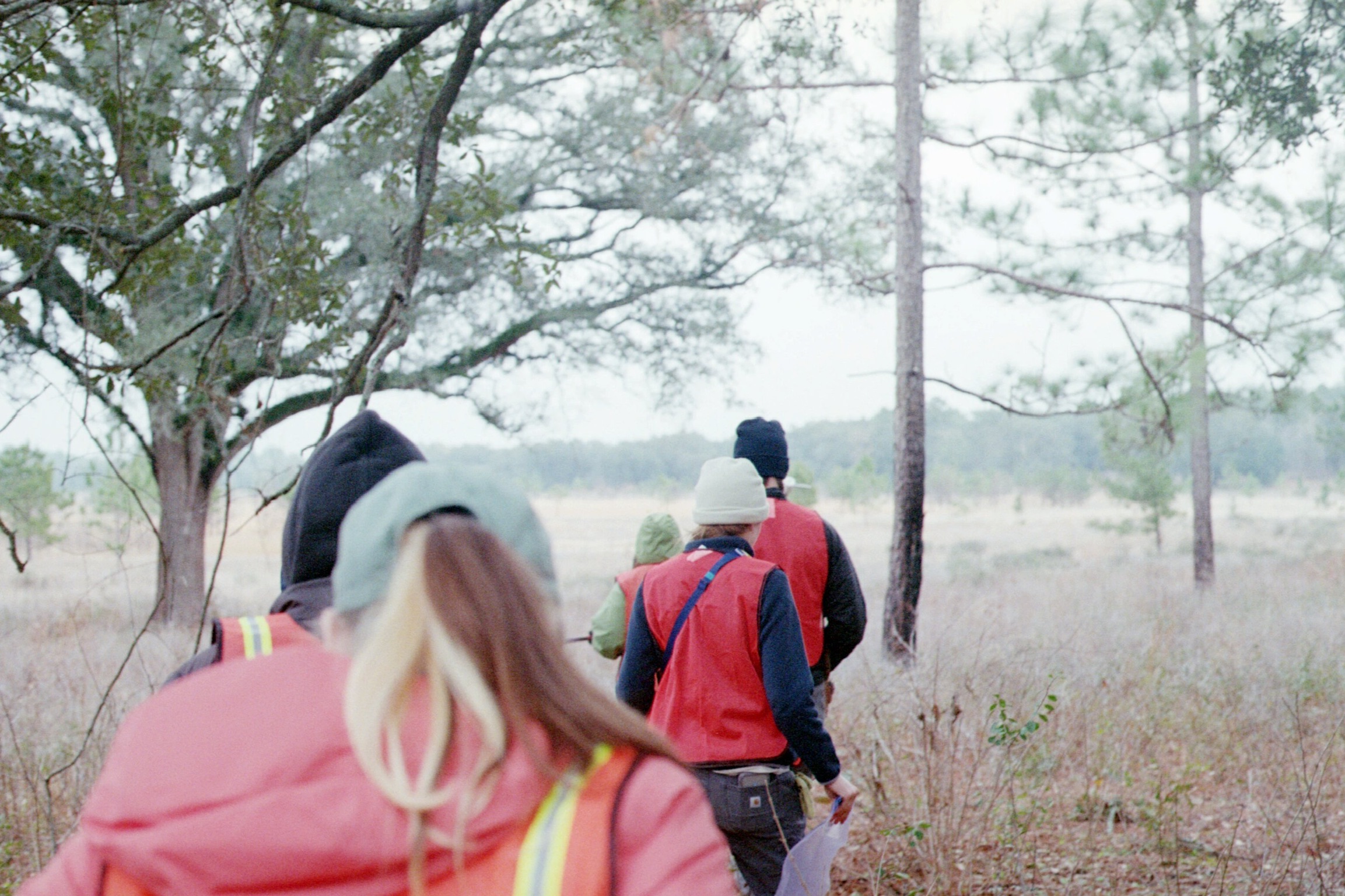 Field team walking through a forested landscape for sediment core work