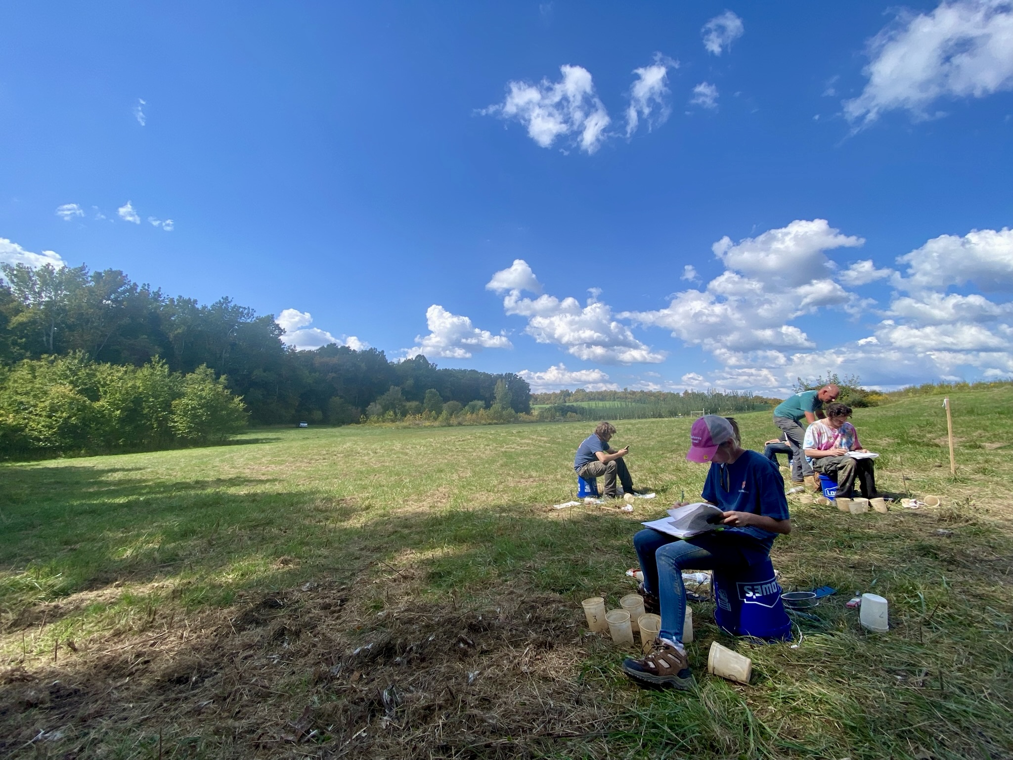 Soil judging field practice under a blue sky