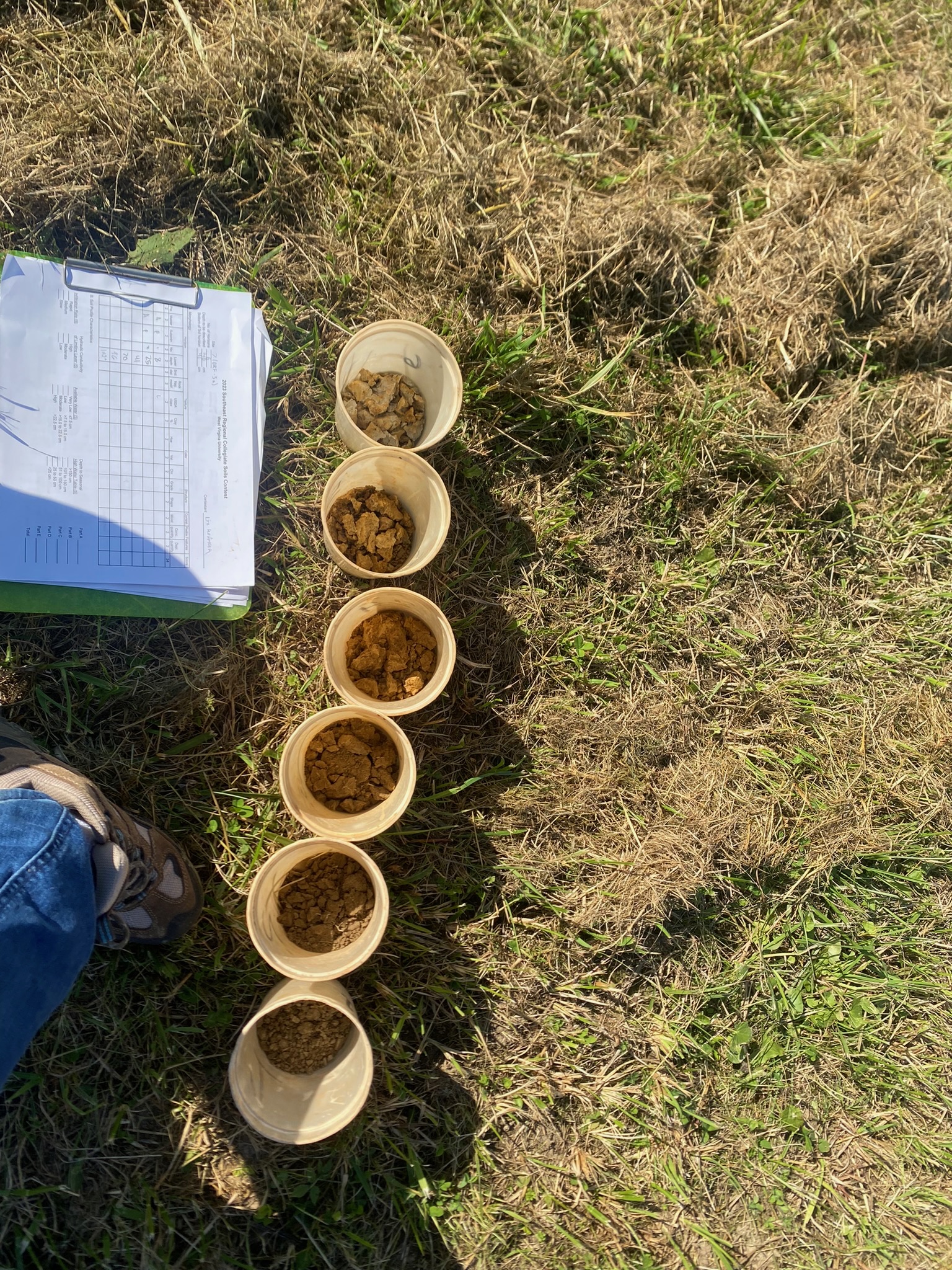 Soil judging samples and field notes laid out on grass